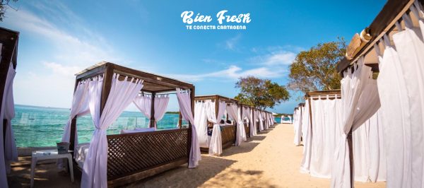 1 FOTO PRINCIPAL-01-01 aa-02-01