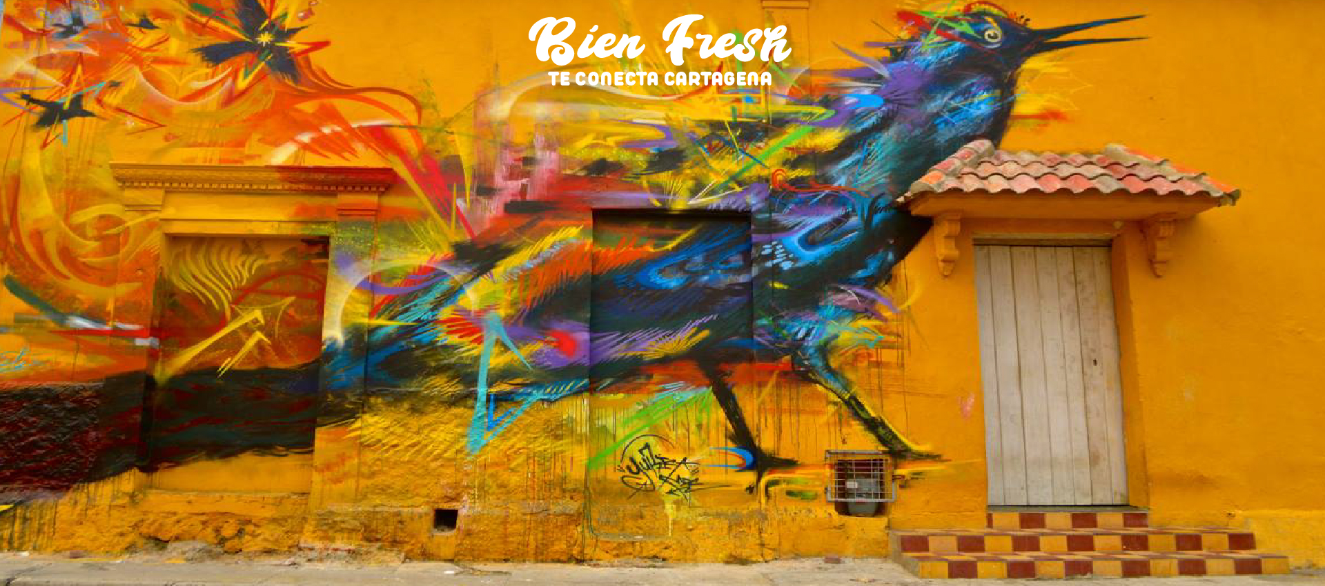 STREET ART CARTAGENA CARIBE