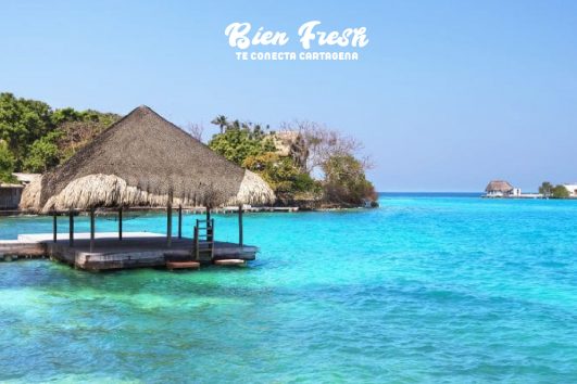 ISLAS ROSARIO + PLAYA BLANCA + OCEANARIO