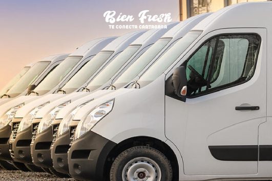 TRANSPORTE TERRESTRE